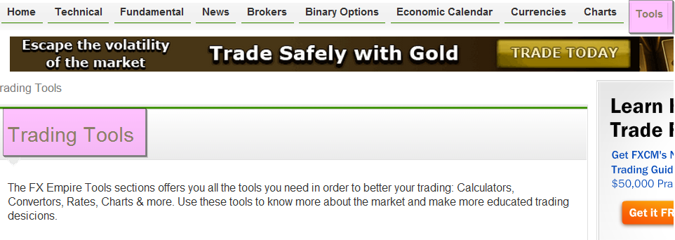 What is an fx options trader
